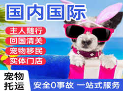 郑州国际宠物托运 【国